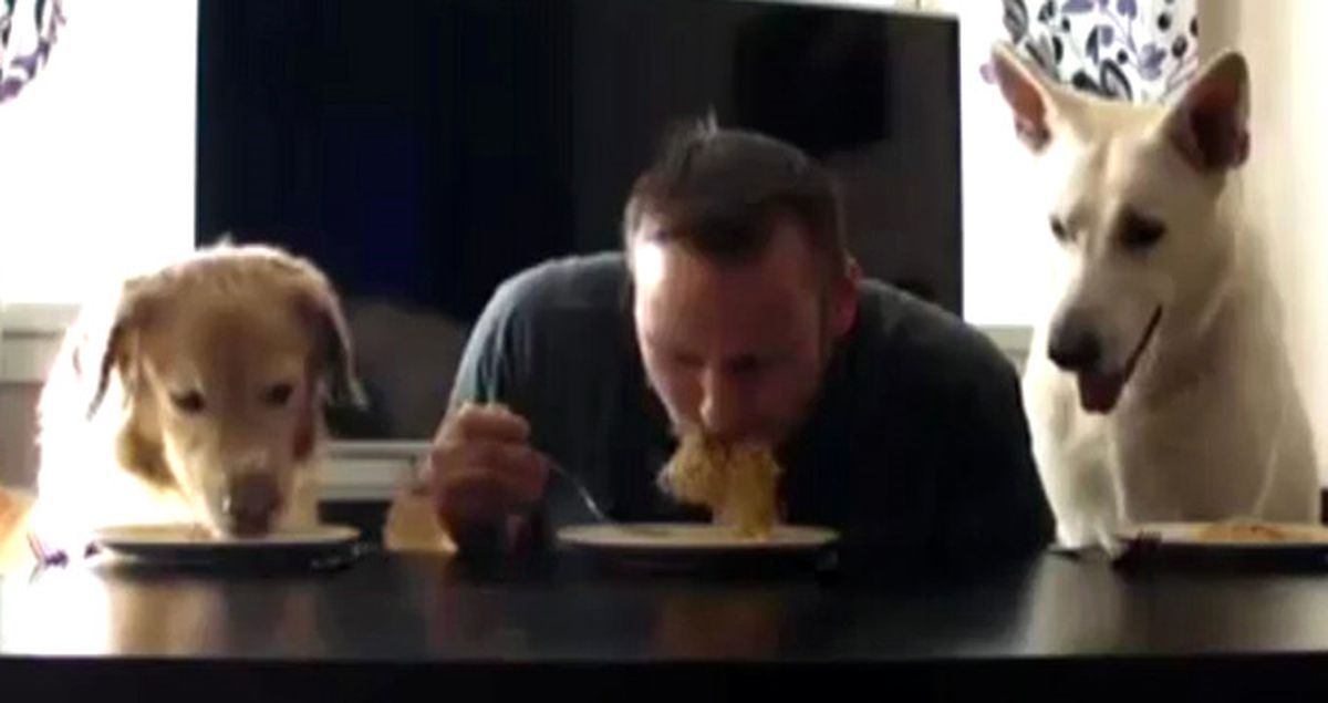 Finlandiyalı Genç Köpekleriyle Spagetti Yarışına Girdi