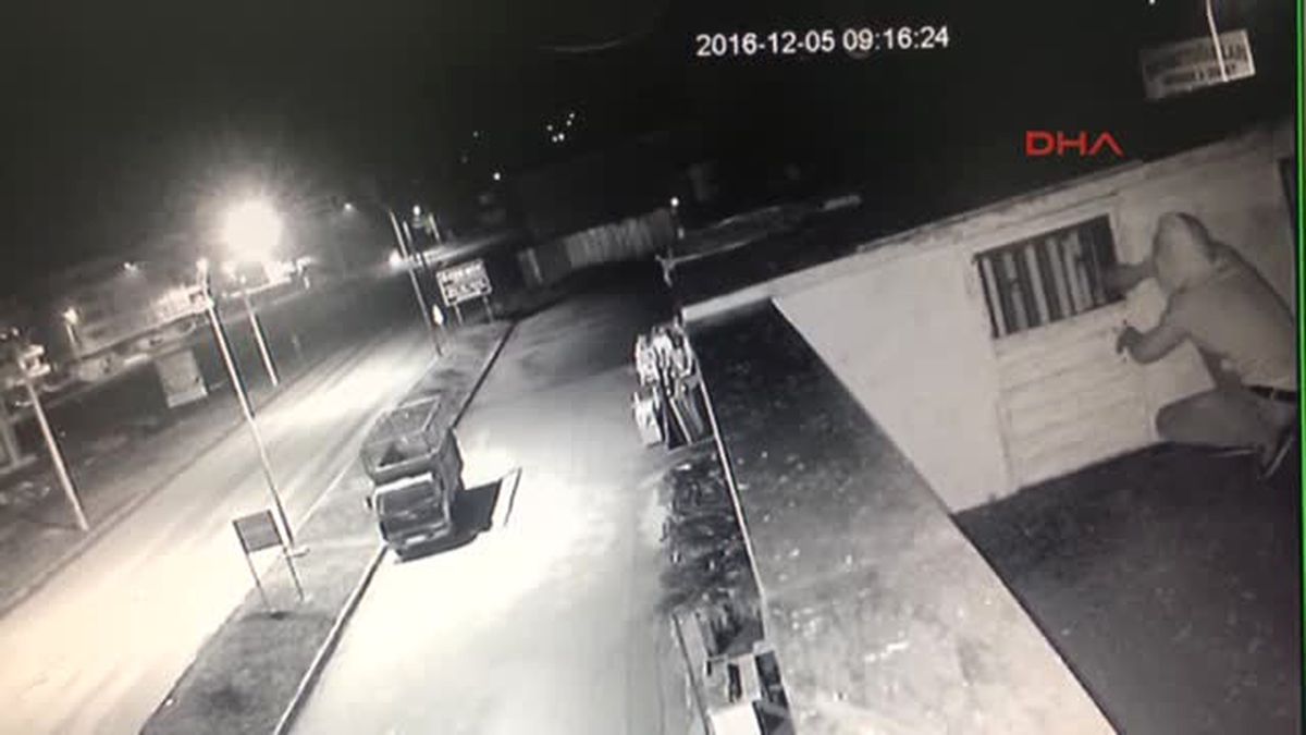 Osmaniye Kümesten 30 Bin Liralık Güvercin Hırsızlığı Kamerada