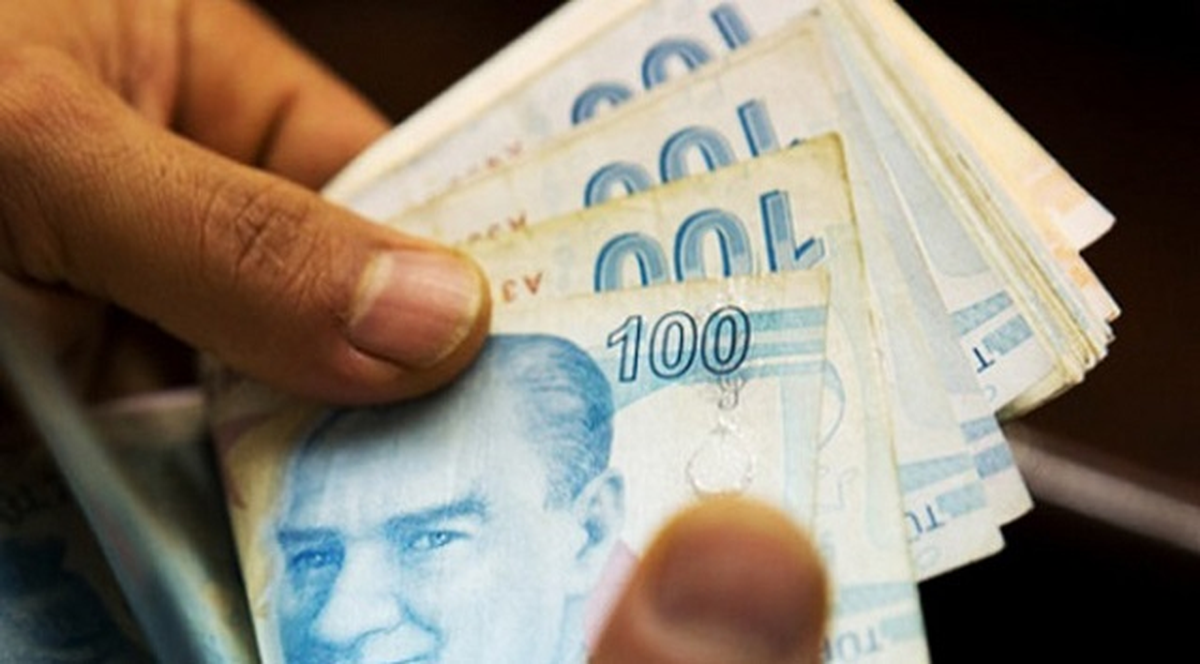 Türk Lirasına Destek Kampanyası