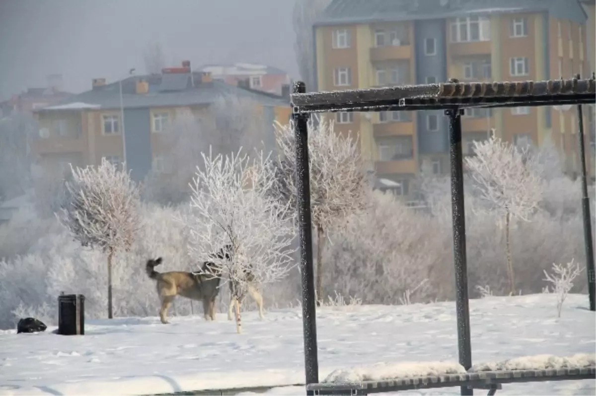 Ardahan Buz Kesti! Hava -32 Derece