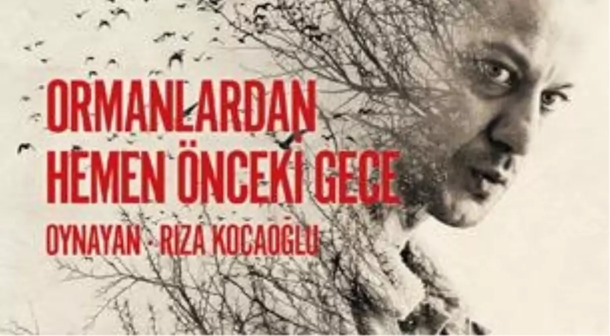 Ormanlardan Hemen Önceki Gece