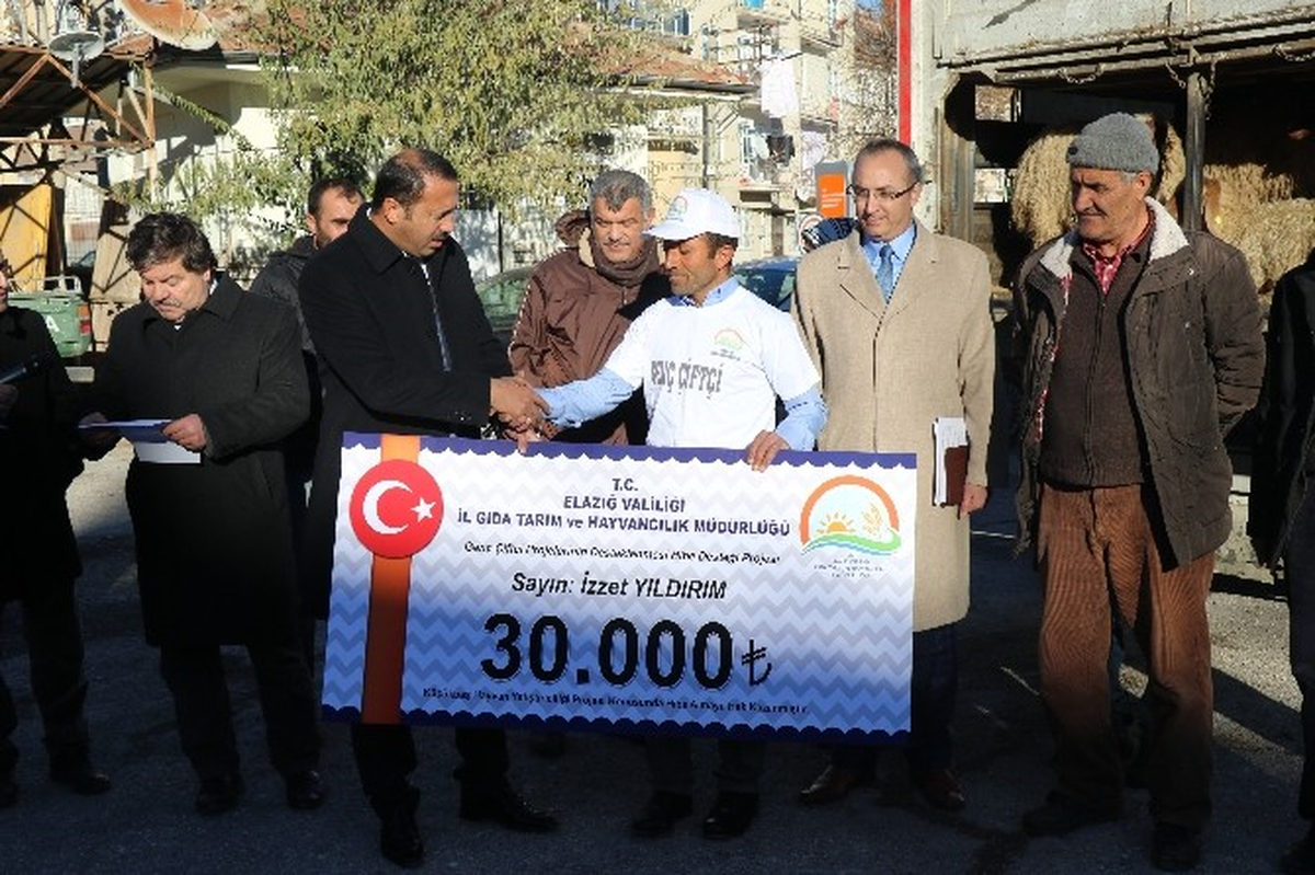 Genç Çiftçilere 120 Adet Koyun Hibesi Verildi