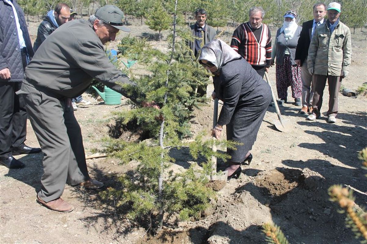 Gönül Elçileri "Bereket Ormanı" Oluşturdu