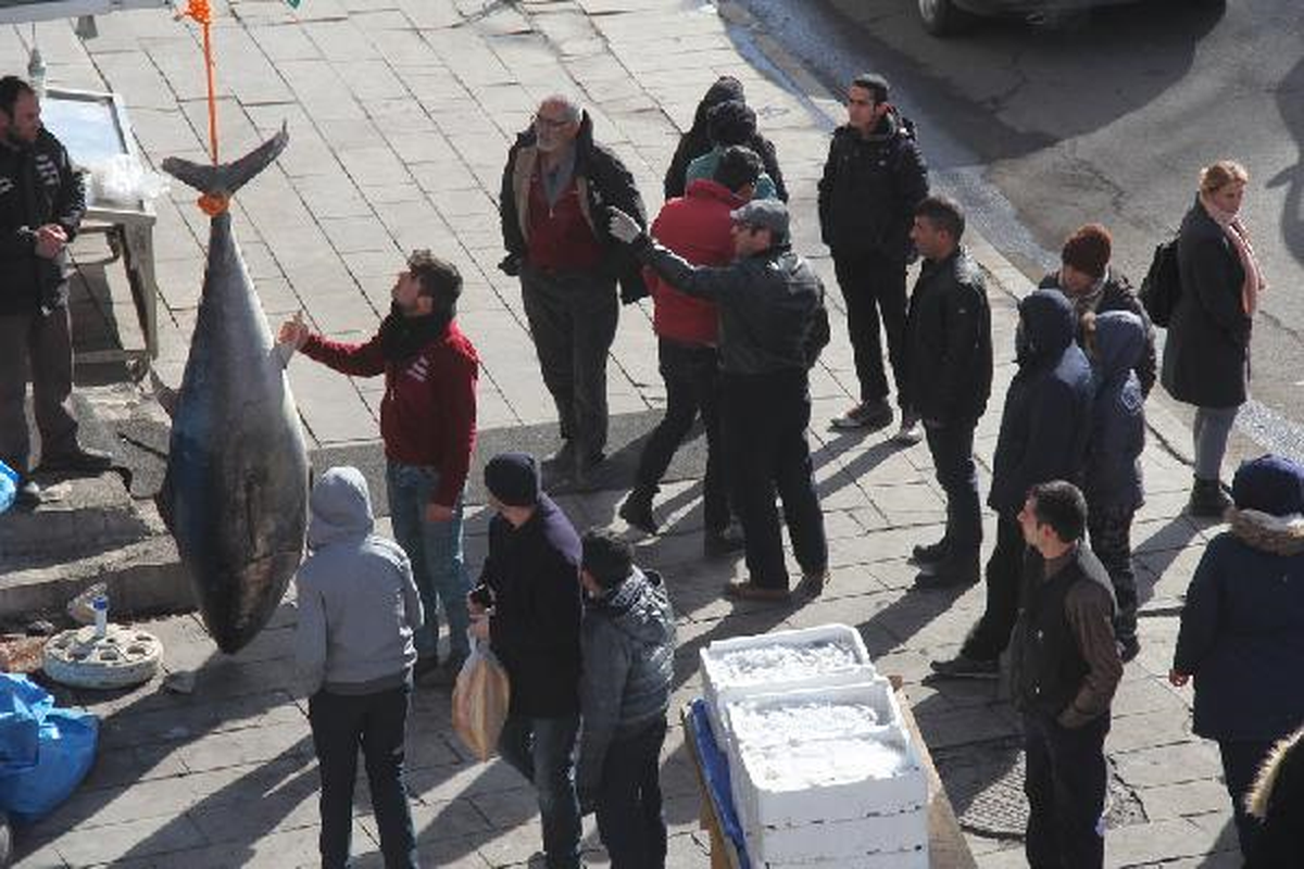 Kars\'ta 250 Kiloluk Orkinosa İlgi Odağı Oldu