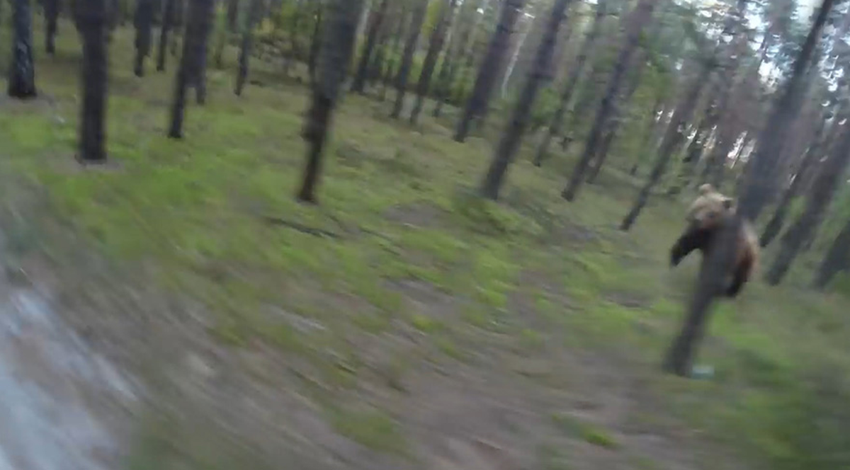 Sosyal Medyayı İkiye Ayıran Video: Gerçek mi Sahte mi?