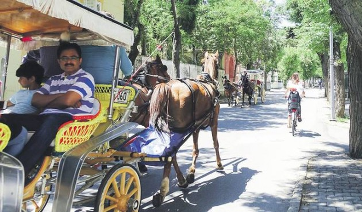 Adalar\'ın Ulaşım Sorununa Ada Halkından Sürdürülebilir Çözümler