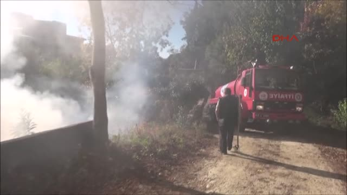 Antalya - Ot Yangını Korkuttu