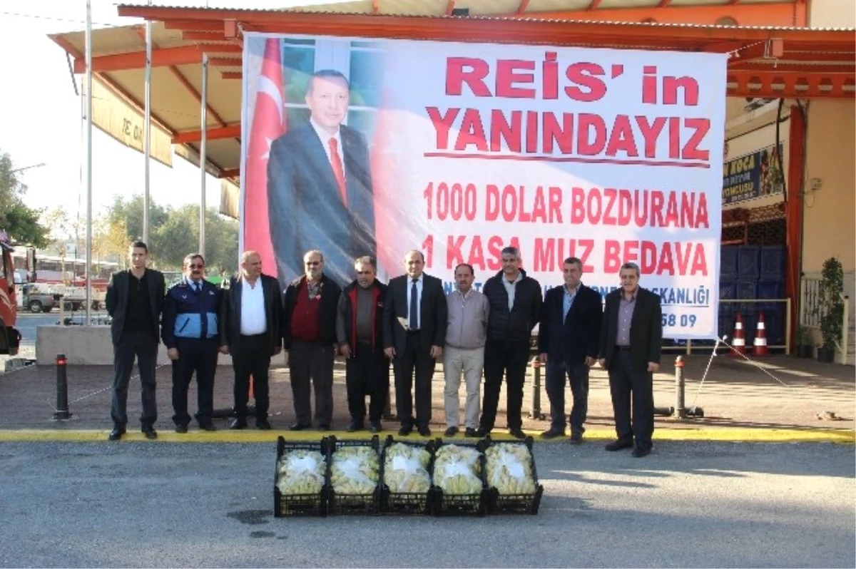 Bin Dolar Bozdurana 1 Kasa Alanya Muzu