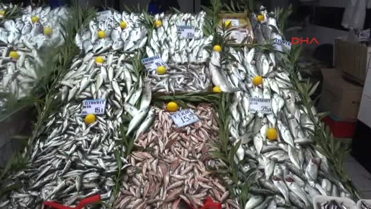 Çanakkale\'de Sarıkanat Fiyatları Arttı