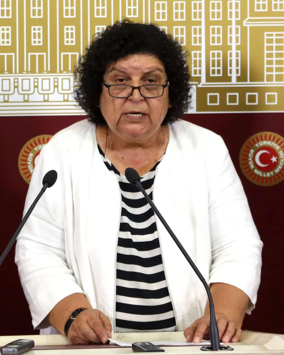 CHP Ankara Milletvekili Sarıhan Açıklaması