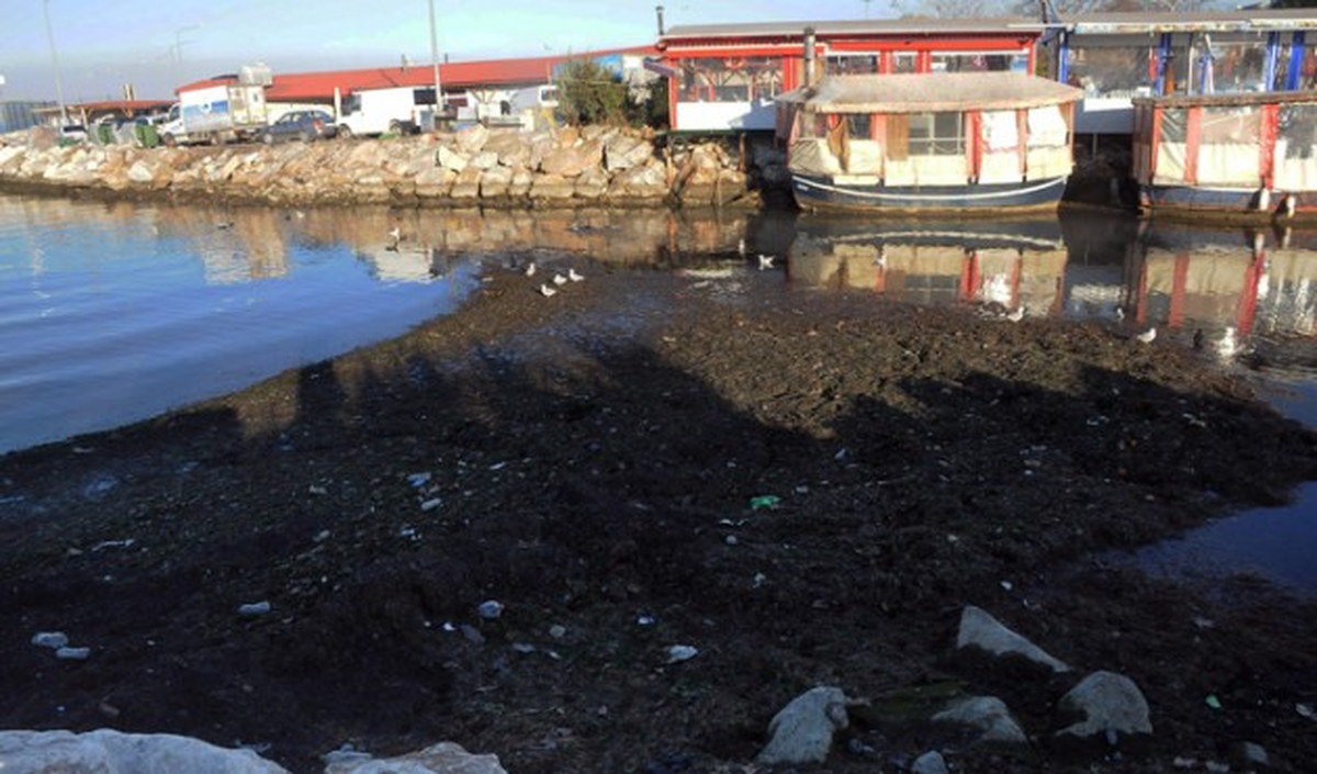 Deniz 10 Metre Çekildi