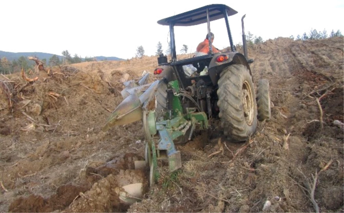 Kastamonu\'da Orman Gençleştirme Çalışmaları Sürüyor