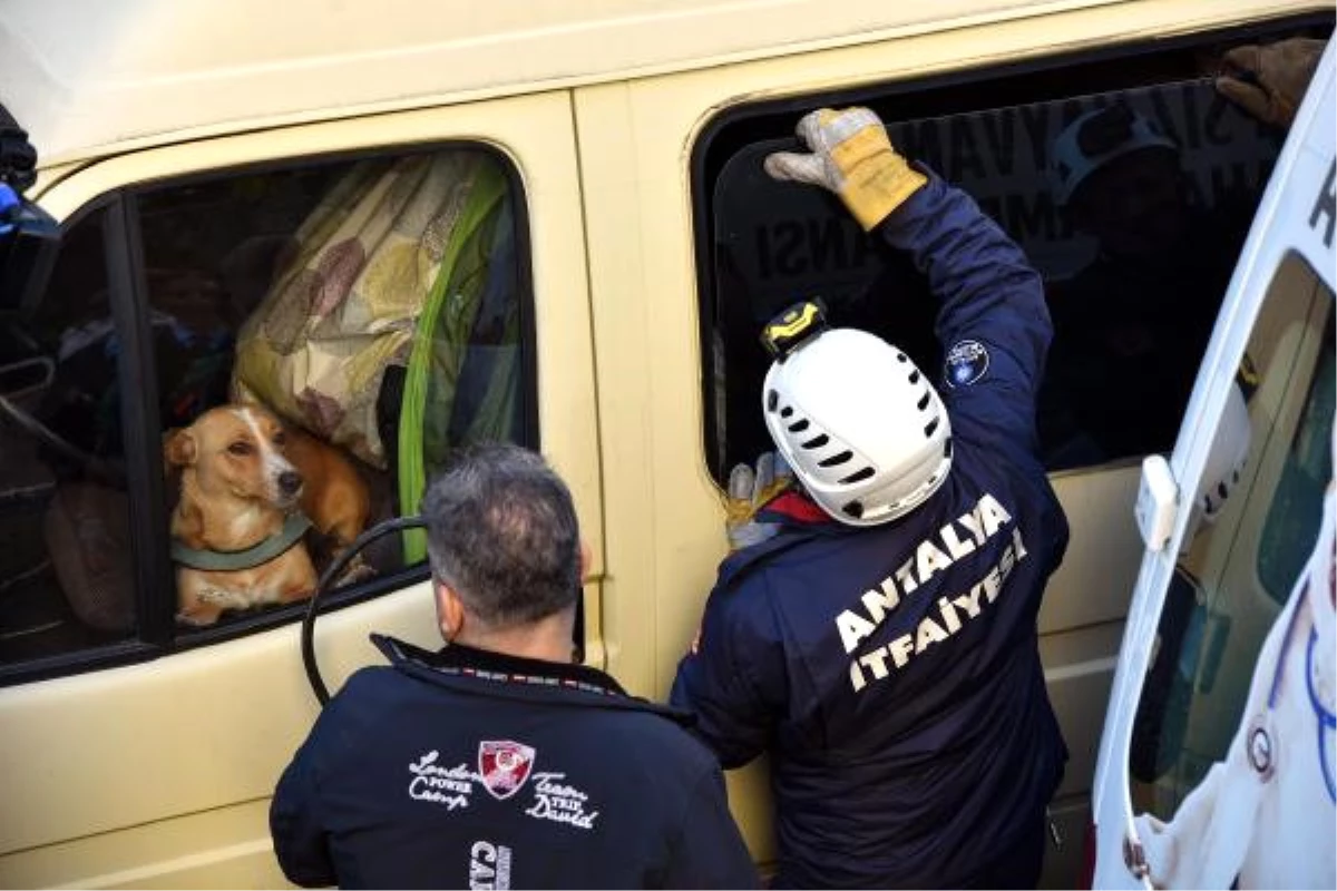 Minibüste Bırakılan Köpek Kurtarıldı