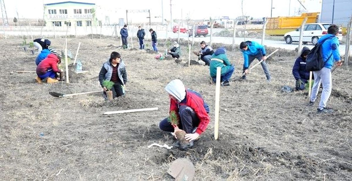Öğrenciler 150 Karaçamı Toprakla Buluşturdu
