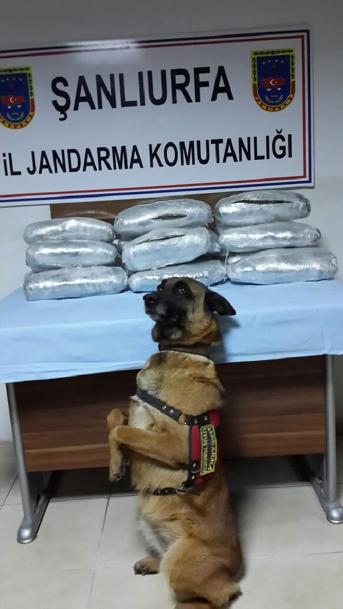 Şanlıurfa\'da Yolcu Otobüsünde Esrara Gözaltı