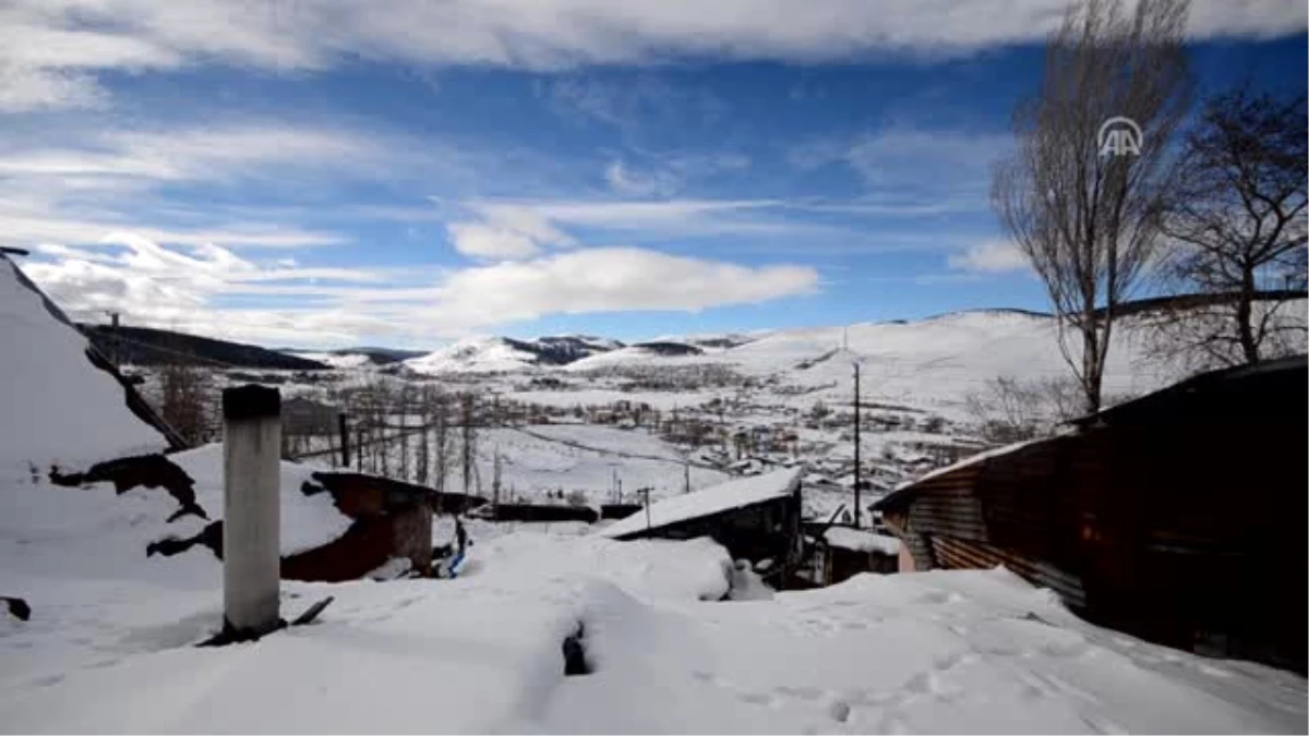 Taklacı Güvercin ve Atlara Sobalı Koruma