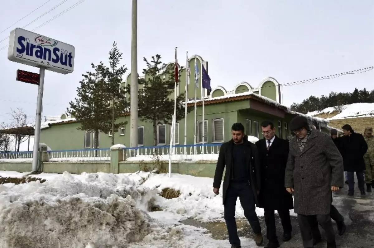 Vali Memiş, Katkısız Yoğurt ve Peynir Üretimini İnceledi