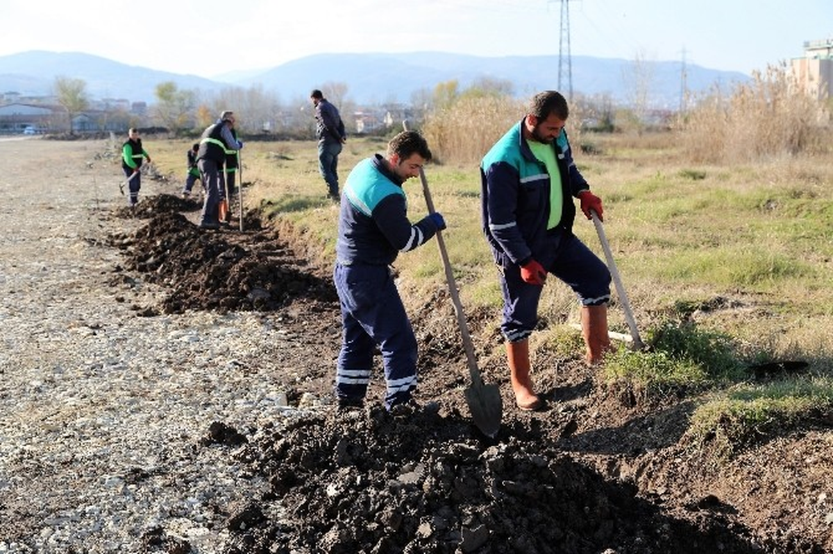 Başiskele\'de Ağaçlandırma Çalışmaları Sürüyor