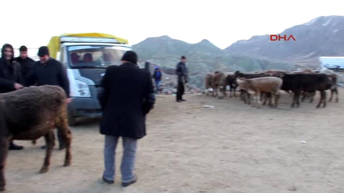 Erzurum Hayvan Pazarında Dondurucu Havada Isınma Çabası
