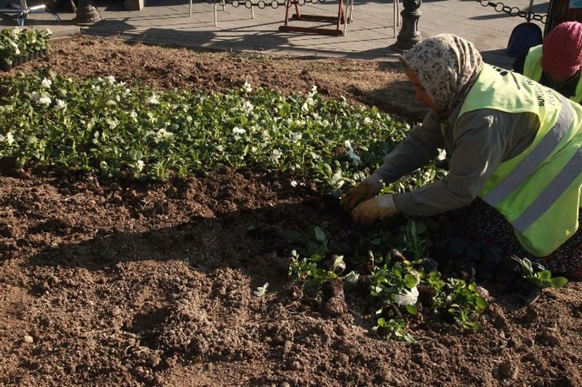 Hatay\'da Yeşil Alanlara Mevsimlik Çiçek