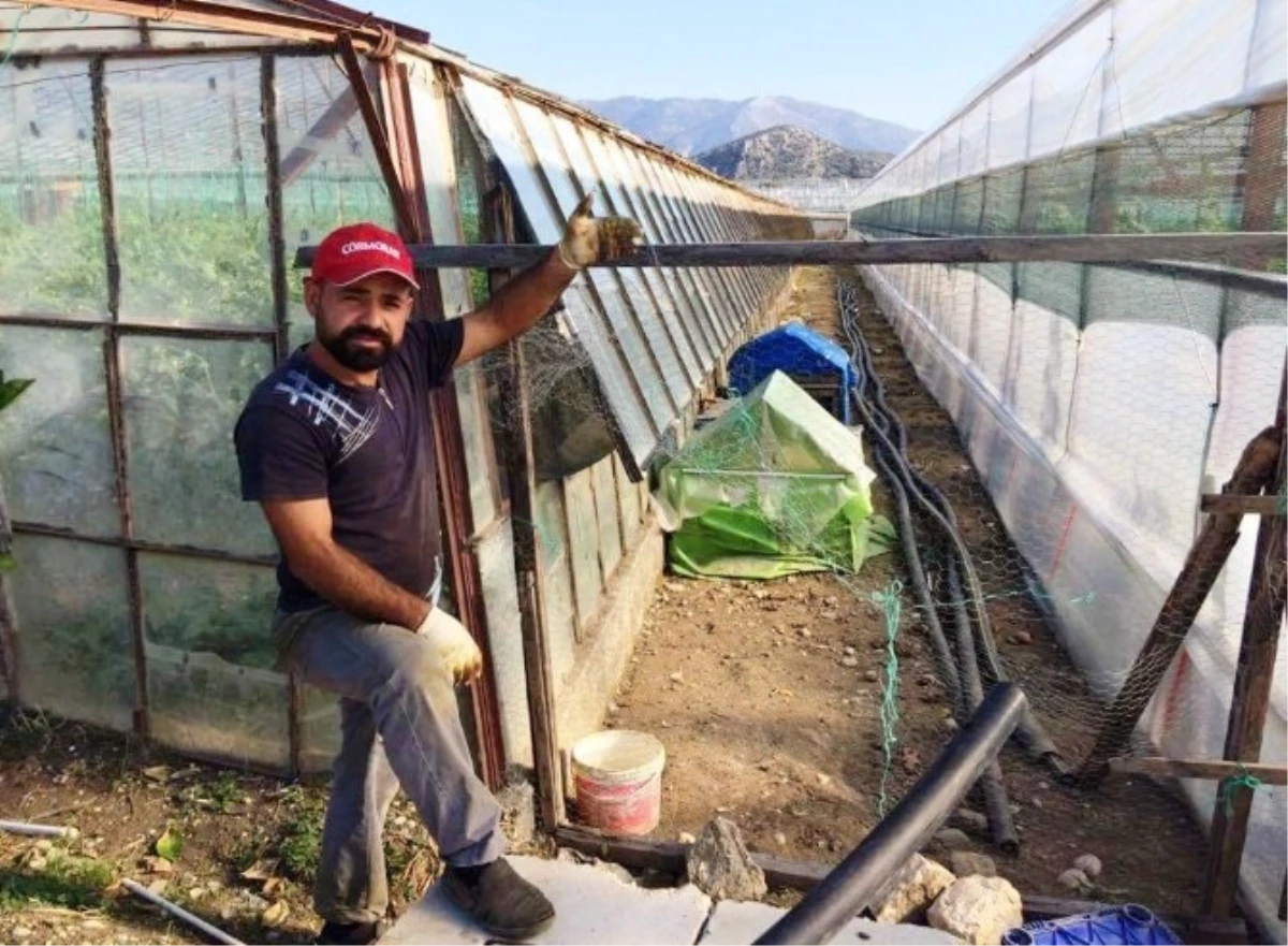 Tavukları Çalınan Vatandaş, Hırsızlara Çağrı Yaptı: Getirin 500 TL Vereceğim