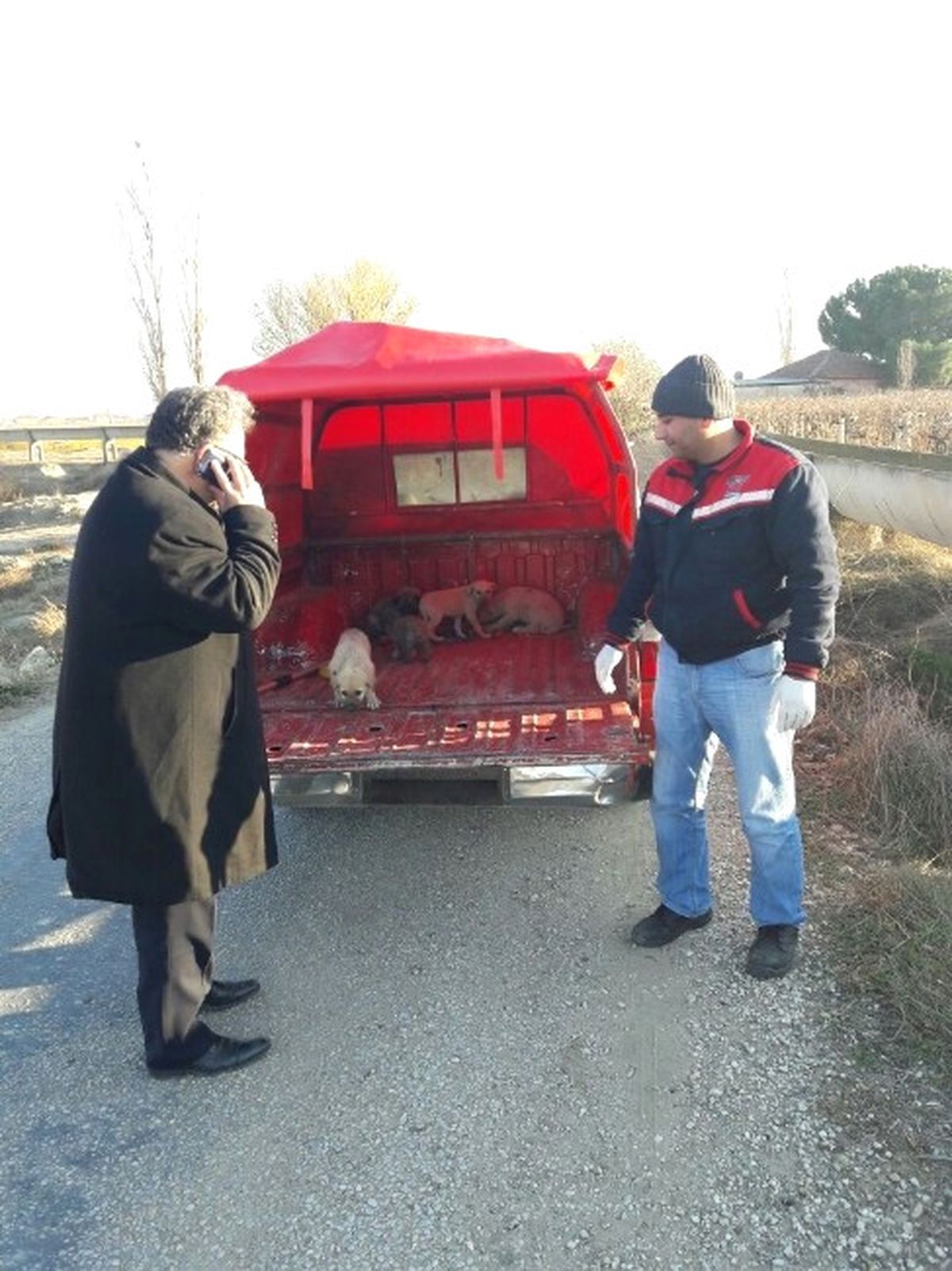 Minik Yavrulara Sahip Çıkıldı