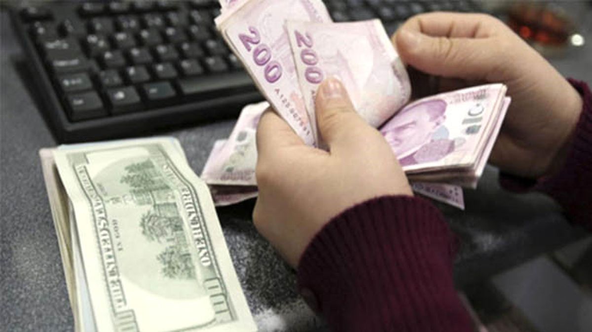 Türk Lirasına Destek