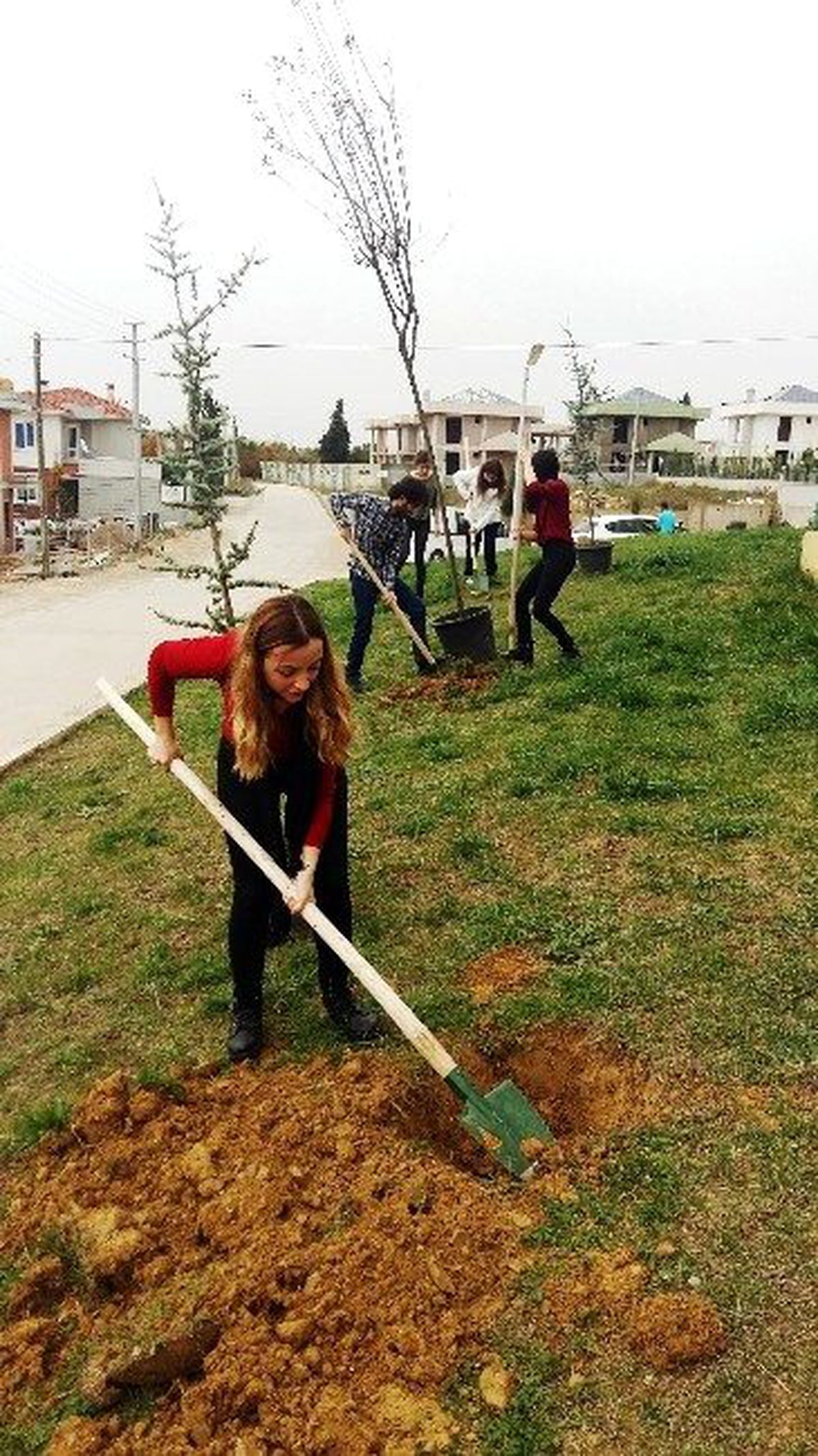 Üniversiteli Öğrenciler Parka Fidan Dikti