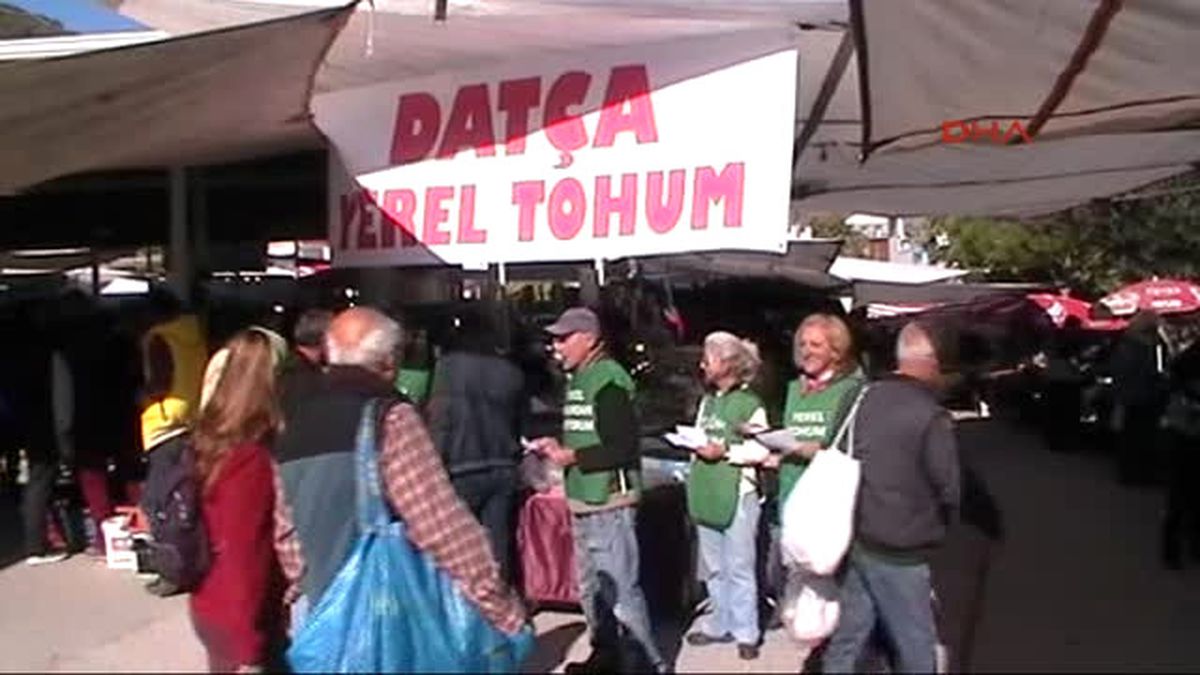 Muğla - Datça\'da Yerel Tohum Seferberliği