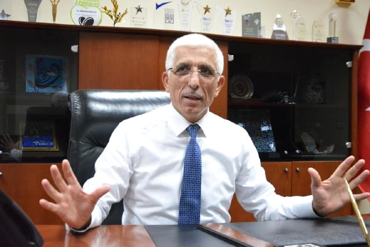 Türkiye 170 Milyon Zeytin Ağacı ile Dünyada 2\'nci Sırada