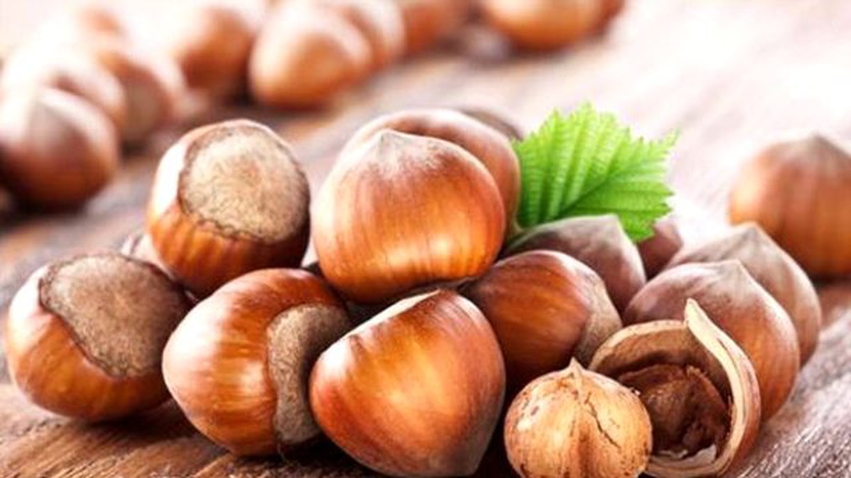 Giresun\'da Fındık Fiyatında Artış