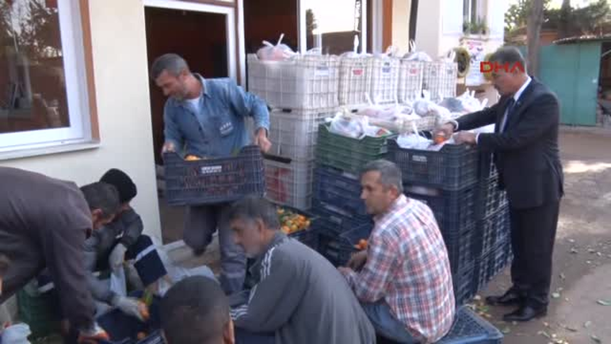 Mersin\'de Okullara 7 Ton Mandalina