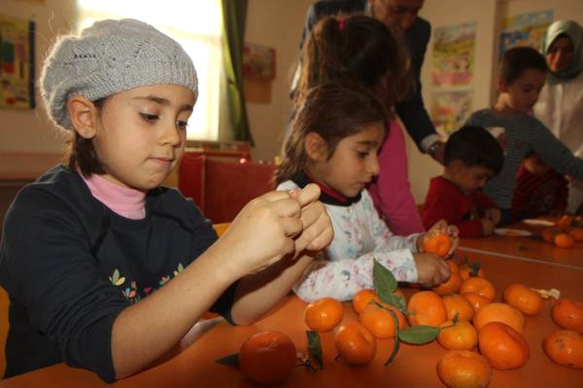 Mersin\'de Okullara 7 Ton Mandalina Dağıtıldı