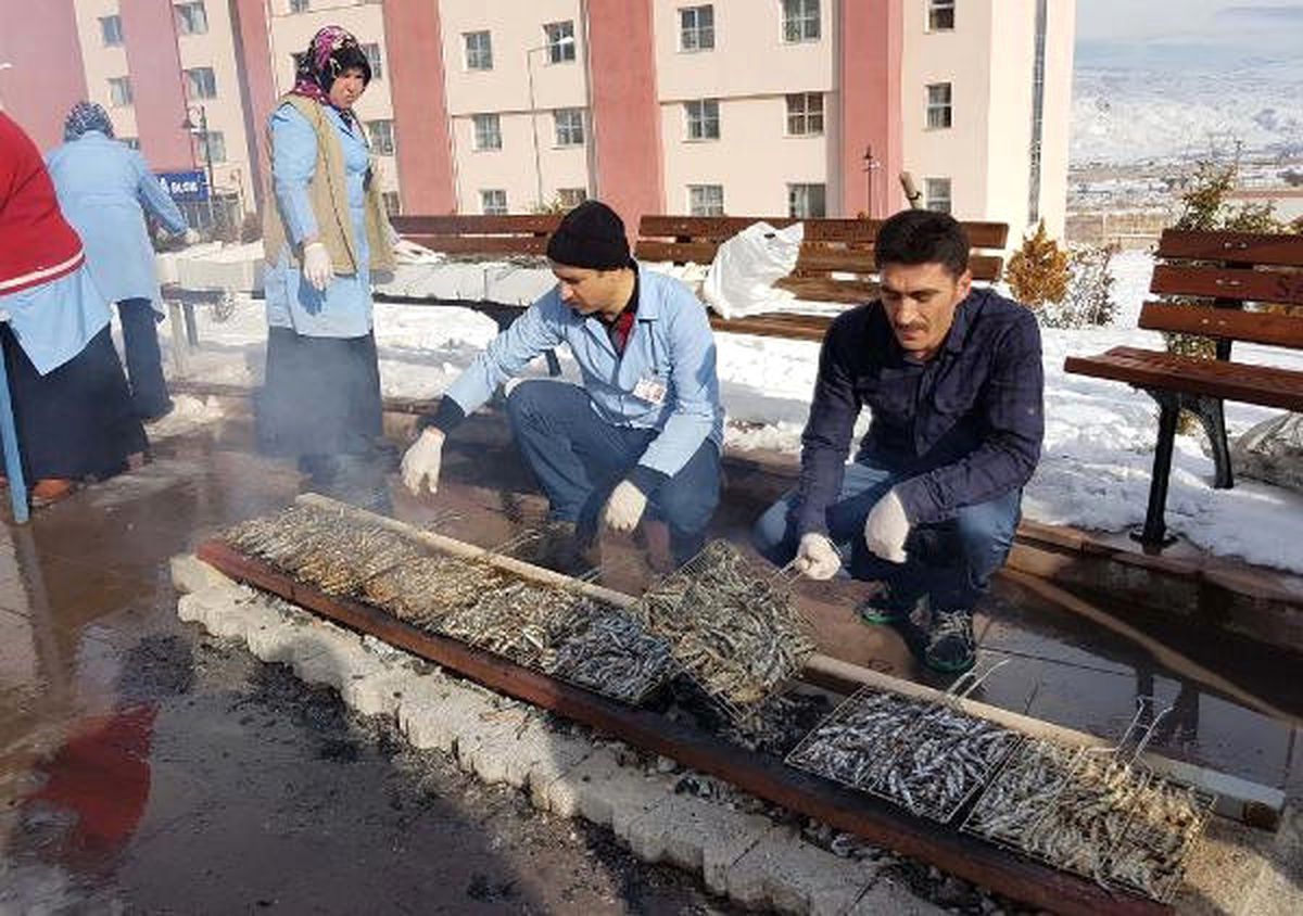 Yurt Öğrencilerine Hamsi Ziyafeti