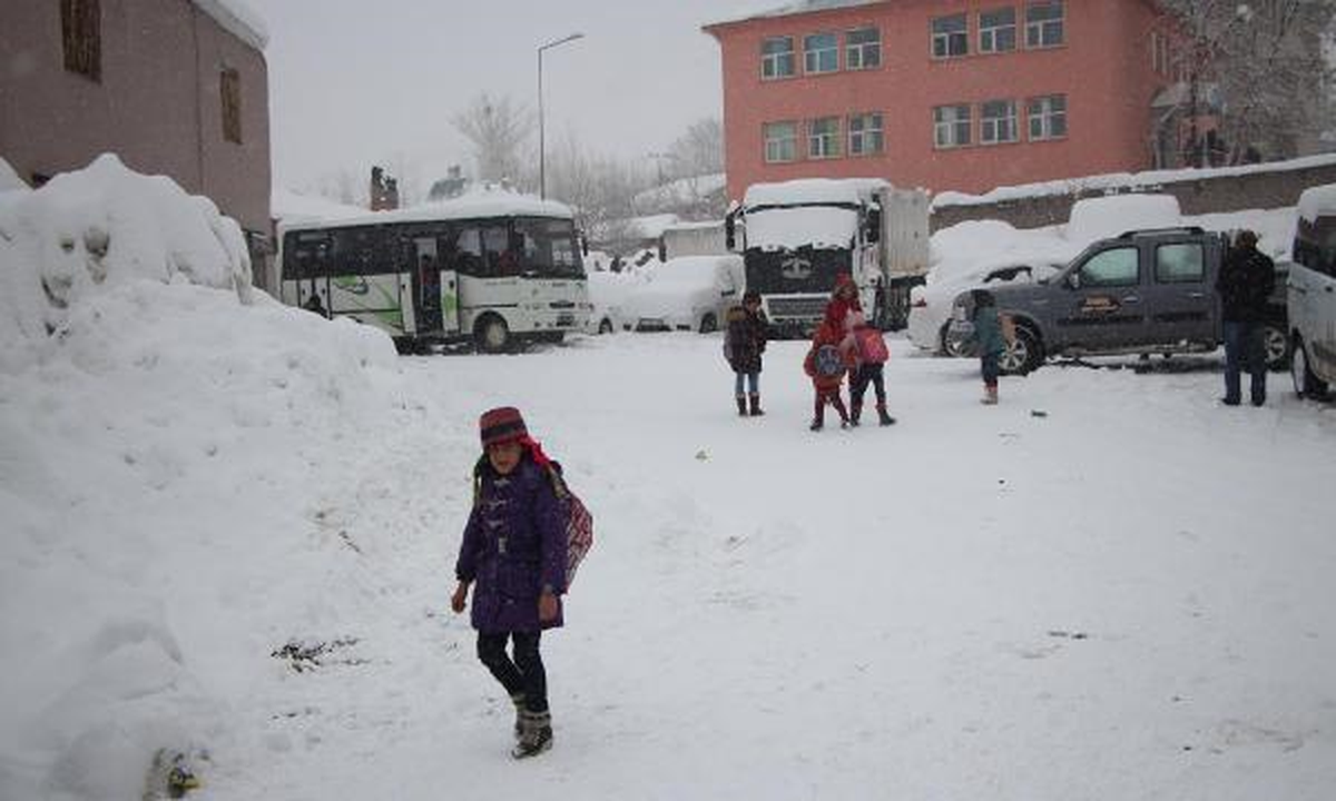 Bingöl Karlıova\'da Okullar 2 Gün Tatil Edildi