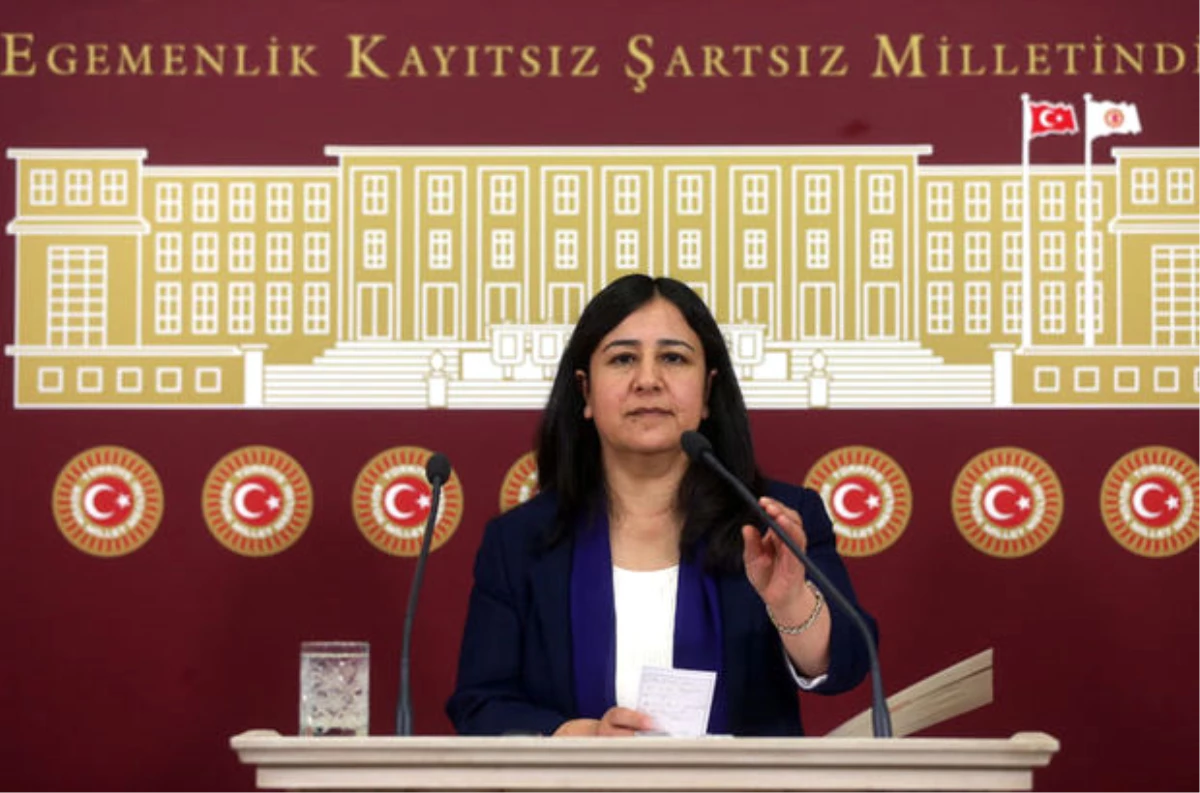 Gözaltına Alınan HDP Diyarbakır Milletvekili Çağlar Demirel Kimdir?