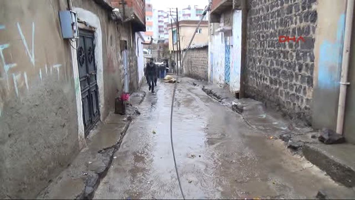 Kopan Elektrik Teli Üzerine Düşen 2 Koyun Telef Oldu