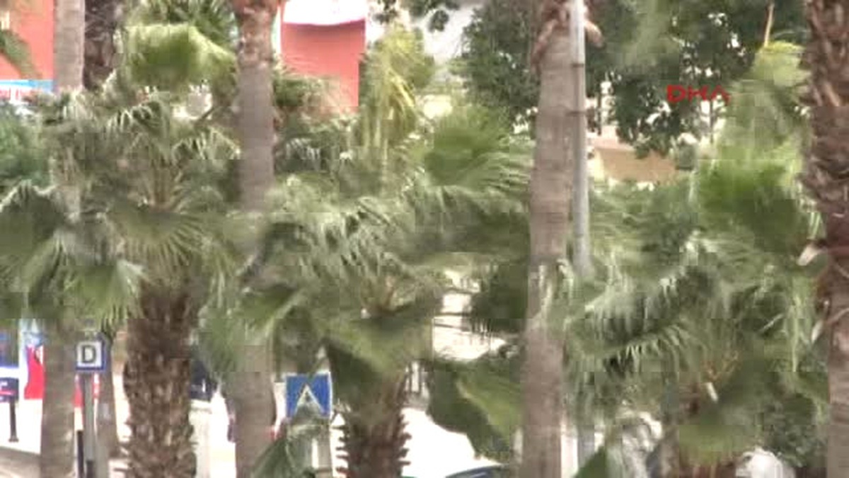 Adana\'da Fırtına Korkuttu