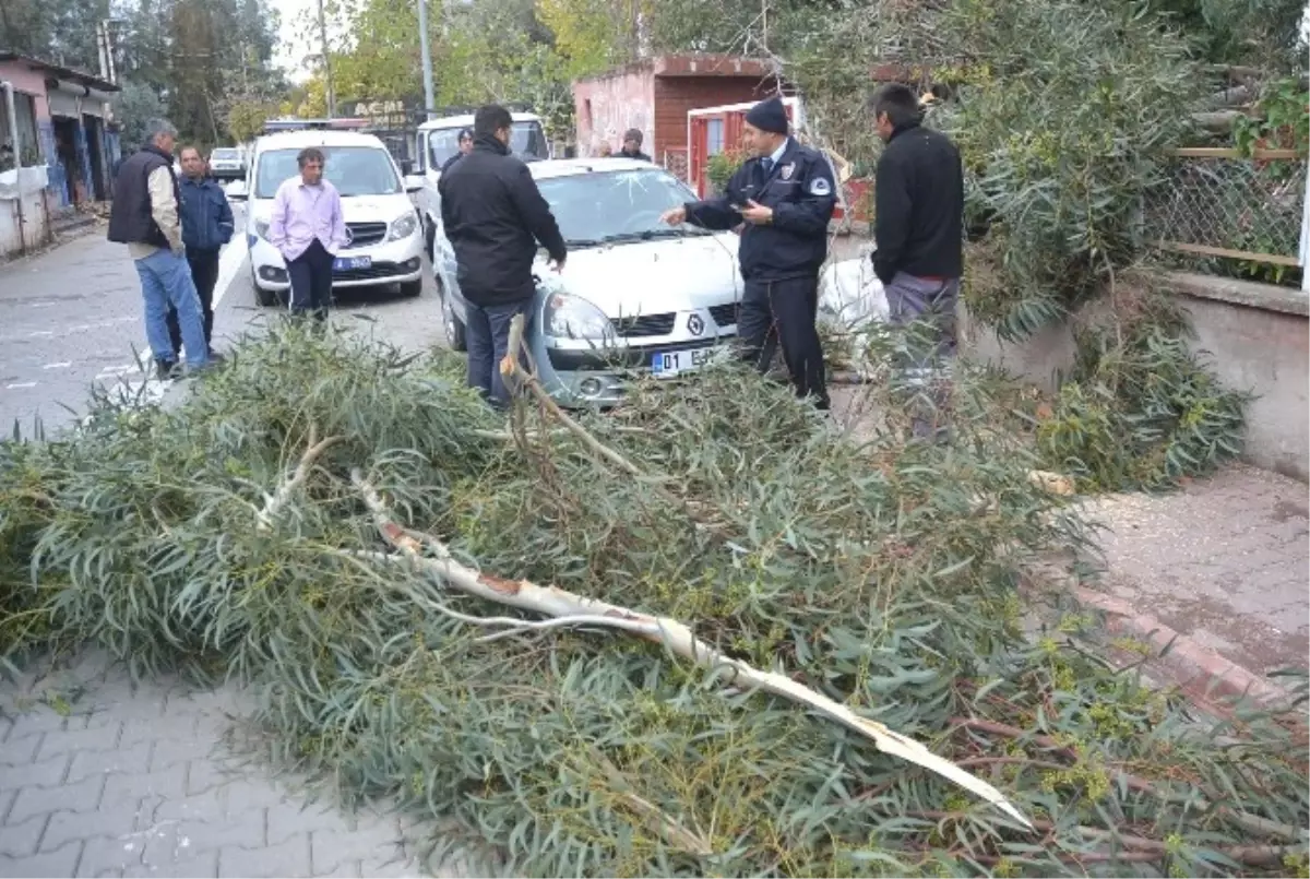 Adana\'da Şiddetli Rüzgar Hayatı Olumsuz Etkiledi