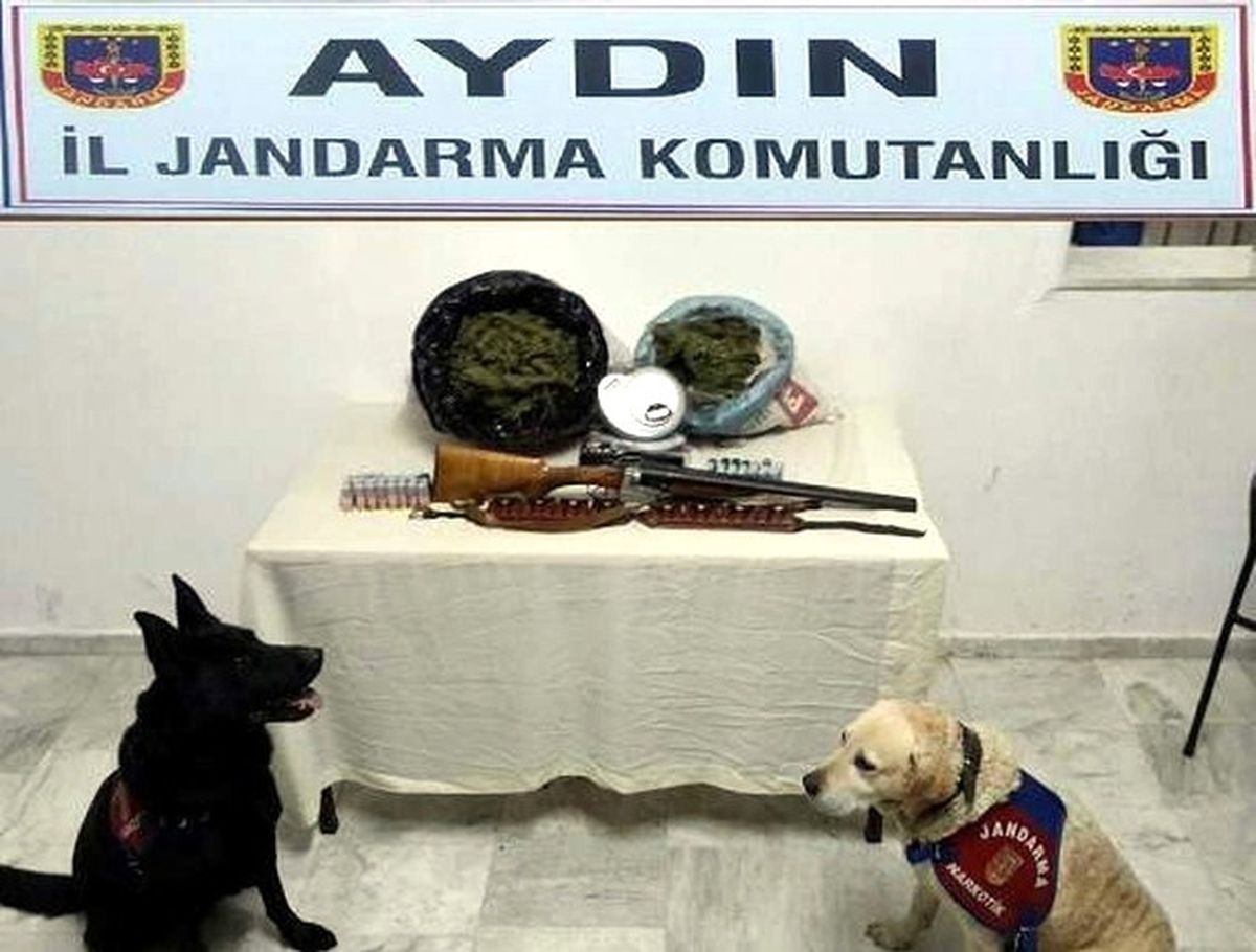 Bozdoğan\'da 2,5 Kilo Esrar Ele Geçirildi