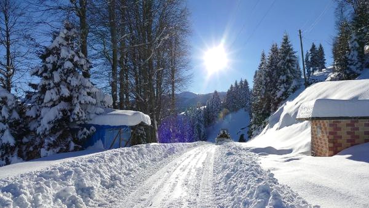 Doğu Karadeniz\'de 874 Köy Yolu Ulaşıma Kapandı
