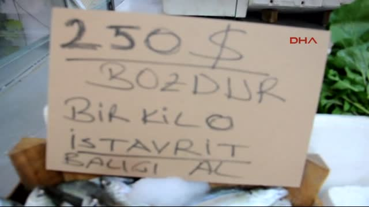 Gaziantep Dolar Bozdurana Ücretsiz Balık