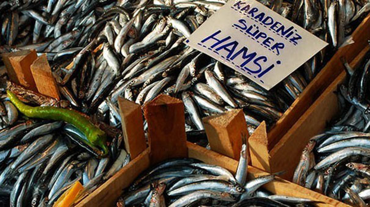 Hamsinin Fiyatı Bir Günde 8 Lira Arttı