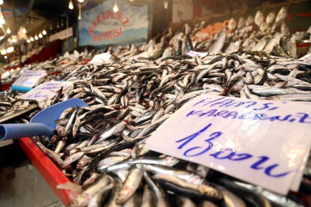 Kar Yağdı, Balık Fiyatları Yükseldi