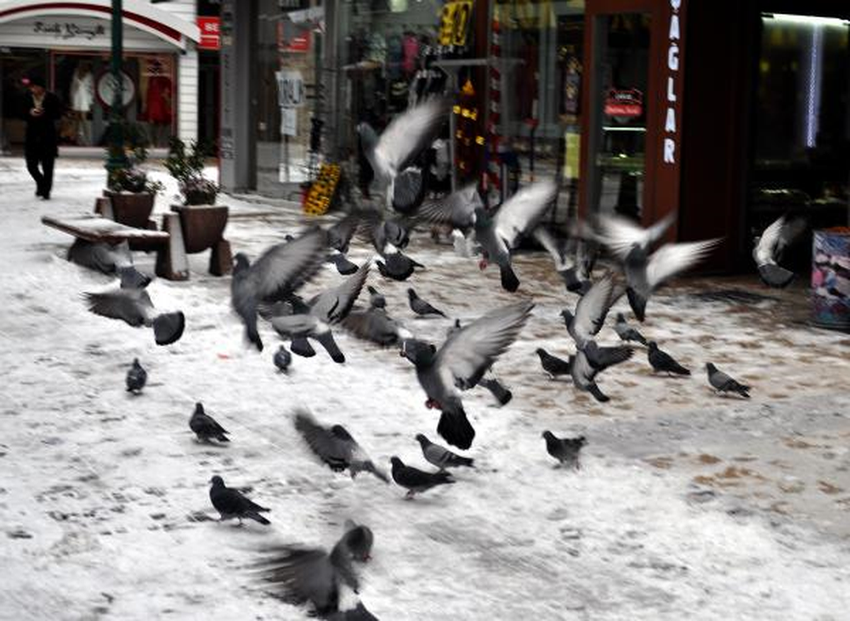 Kayseri\'de Soğuk ve Kar Yaşamı Olumsuz Etkiledi
