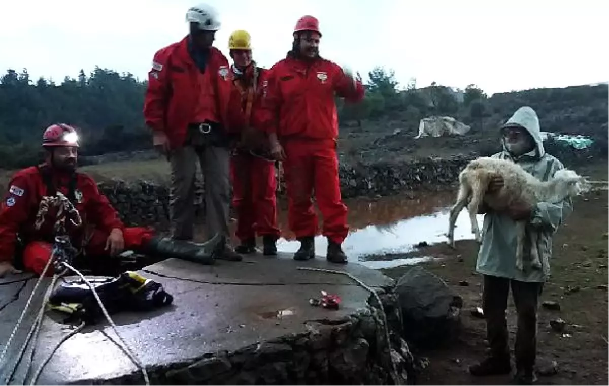 Kuyuya Düşen Oğlağı Akut Kurtardı