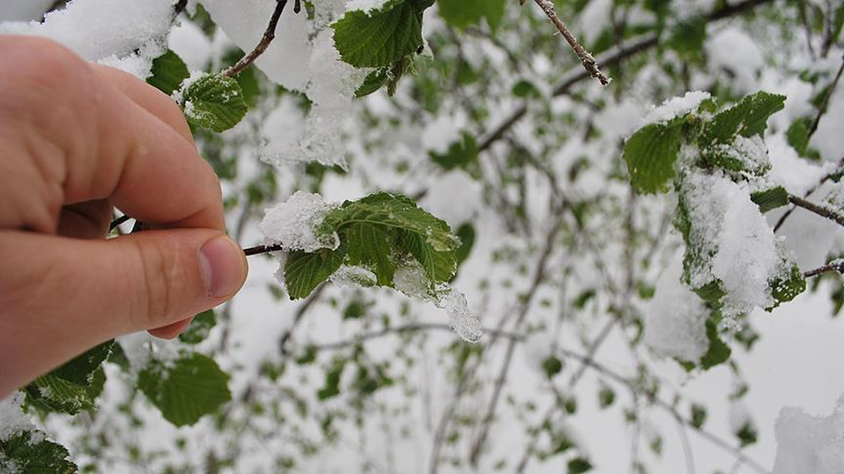 Meteoroloji\'den 5 İl İçin Buzlanma ve Don Uyarısı