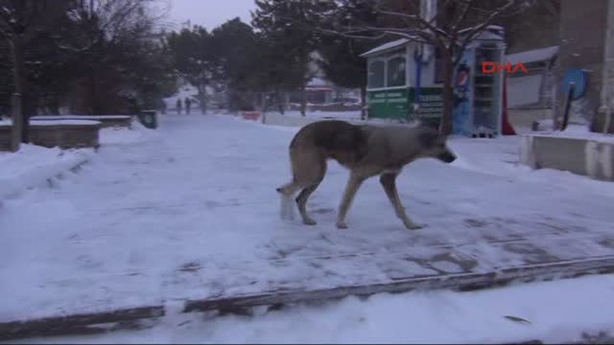 Yozgat\'ta Öğrenciler Kar Tatilini Okullarında Öğrendi