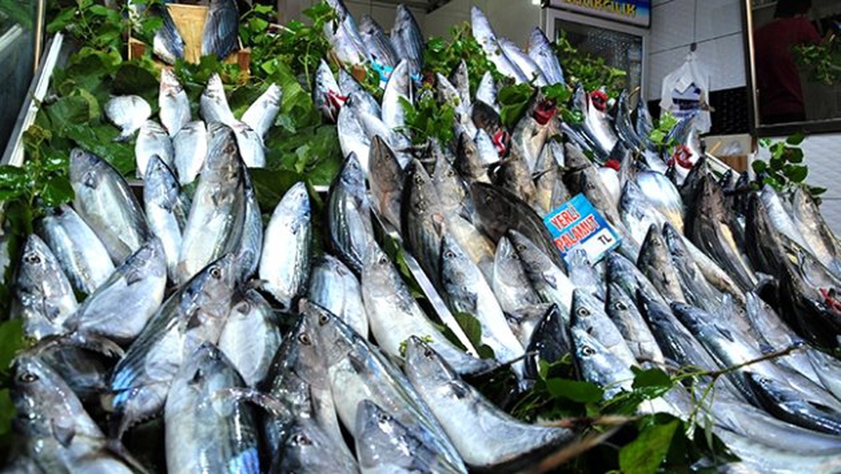 Balık Fiyatlarında "Kötü Hava Şartları Etkisi
