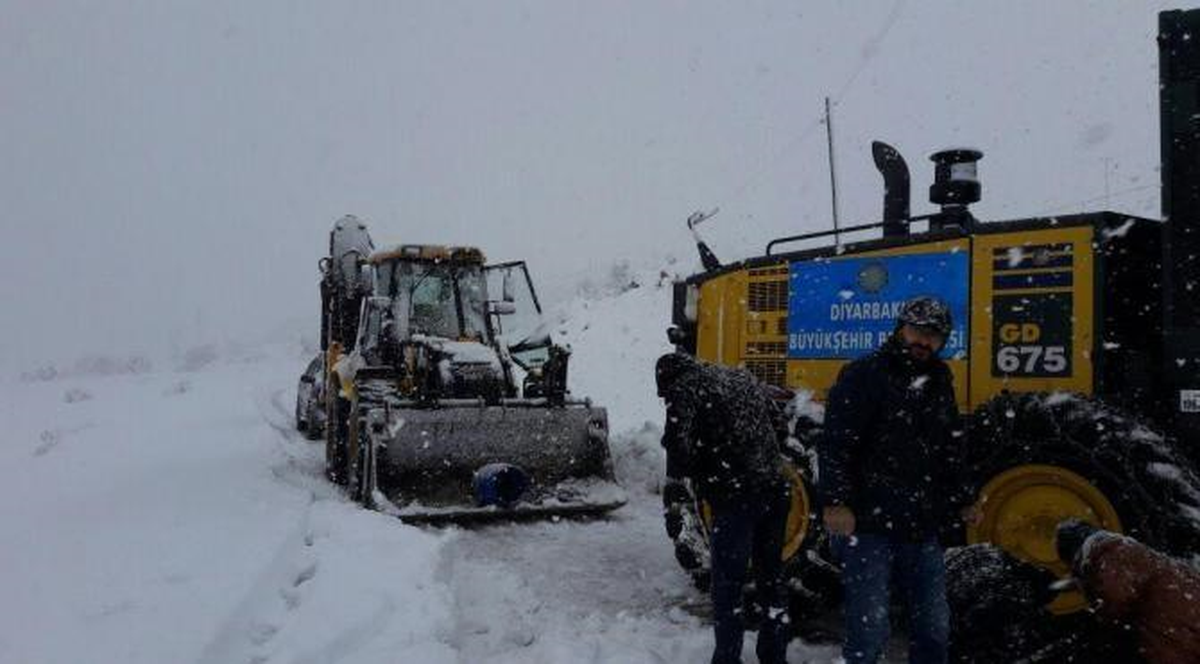 Bingöl, Tunceli ve Siirt\'te Kar Esareti Sürüyor (3)